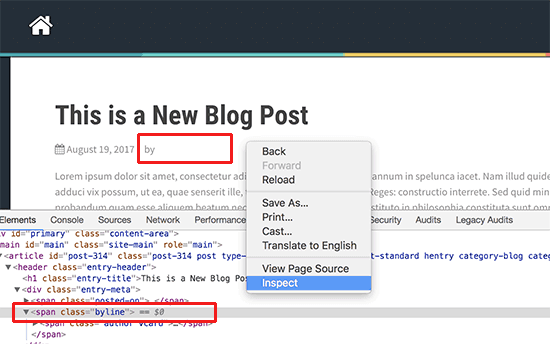 How to Remove Author Name from WordPress Posts Easily