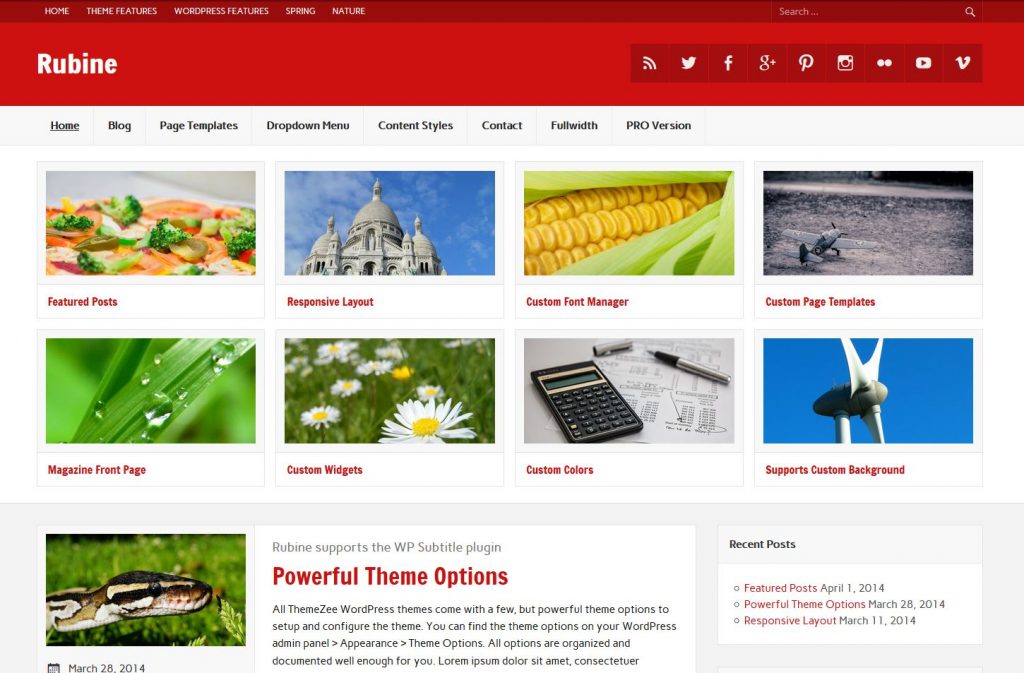 free magazine wordpress theme rubine