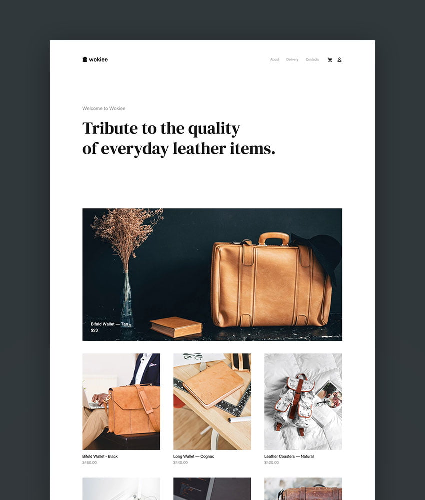 Top Shopify eCommerce Themes With Beautiful Designs