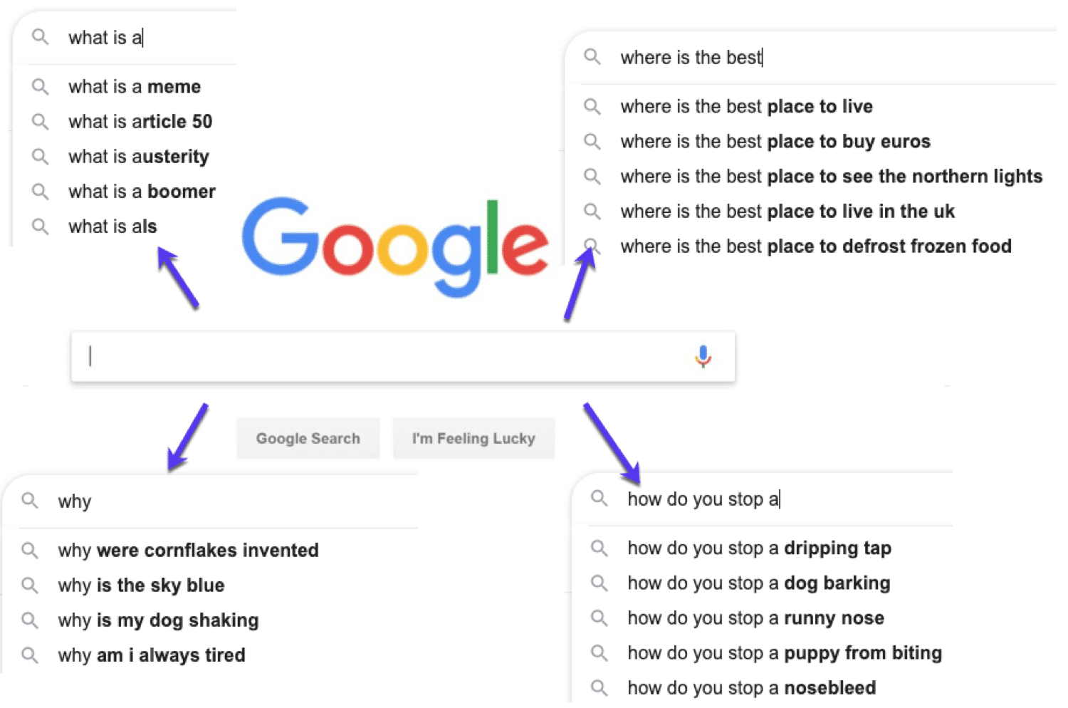 Examples of questions people search on Google