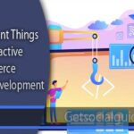 Important Things for Attractive Ecommerce Web Development