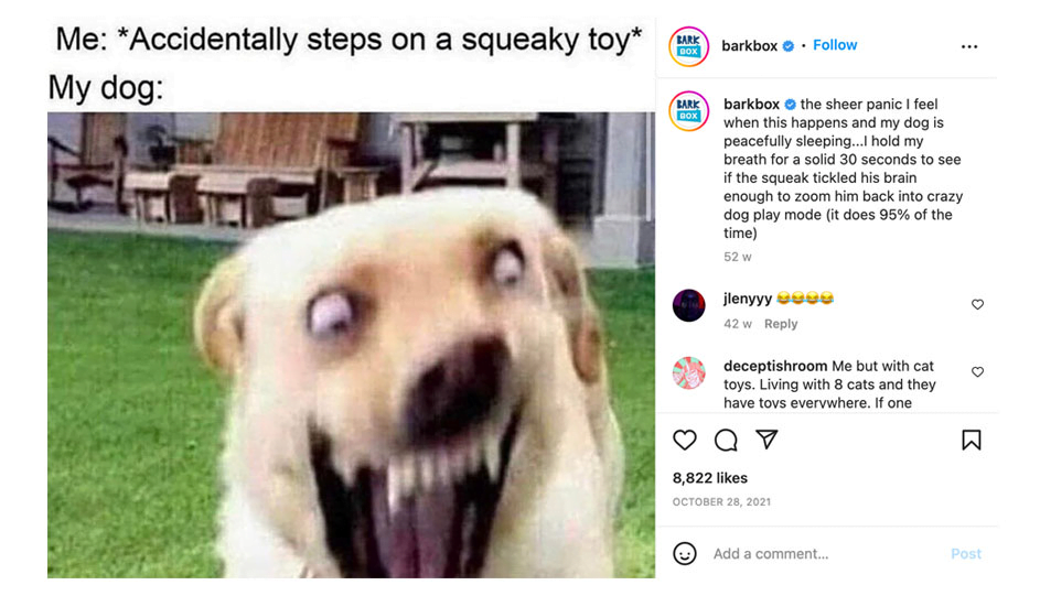 How To Use Memes For Social Media Marketing - Social media meme campaign Barkbox