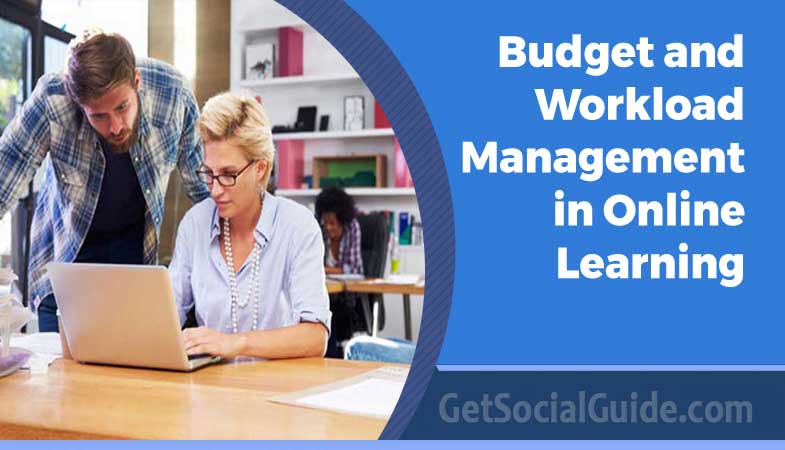 Budget and Workload Management in Online Learning