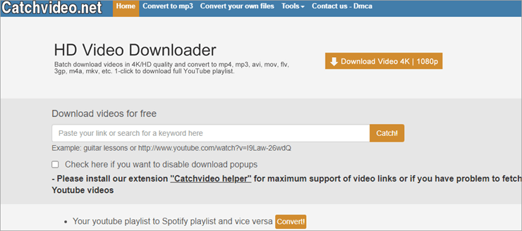 Catchvideo.net homepage with URL input and format options