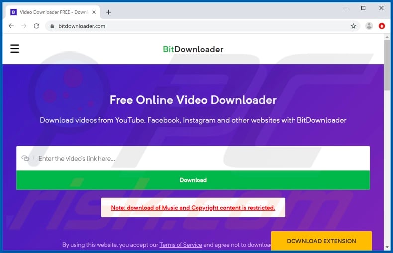 BitDownloader homepage with video URL field