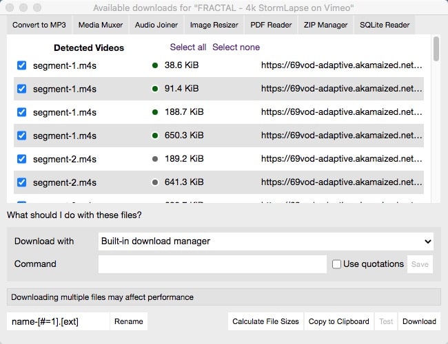 Easy Video Downloader extension interface