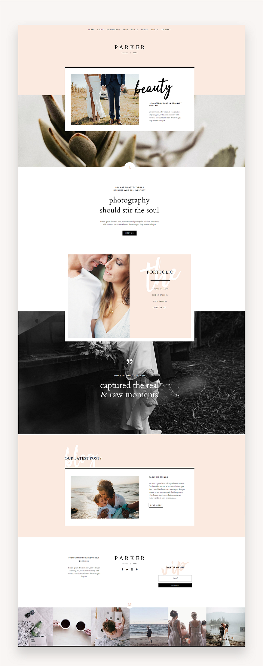 Parker Divi Child Theme layout preview with multiple style options