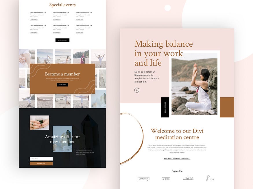 Elegant Themes Dribbble - minimalist portfolio design