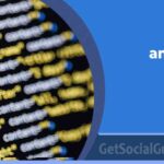 Meta tags importance in SEO 2026 explained