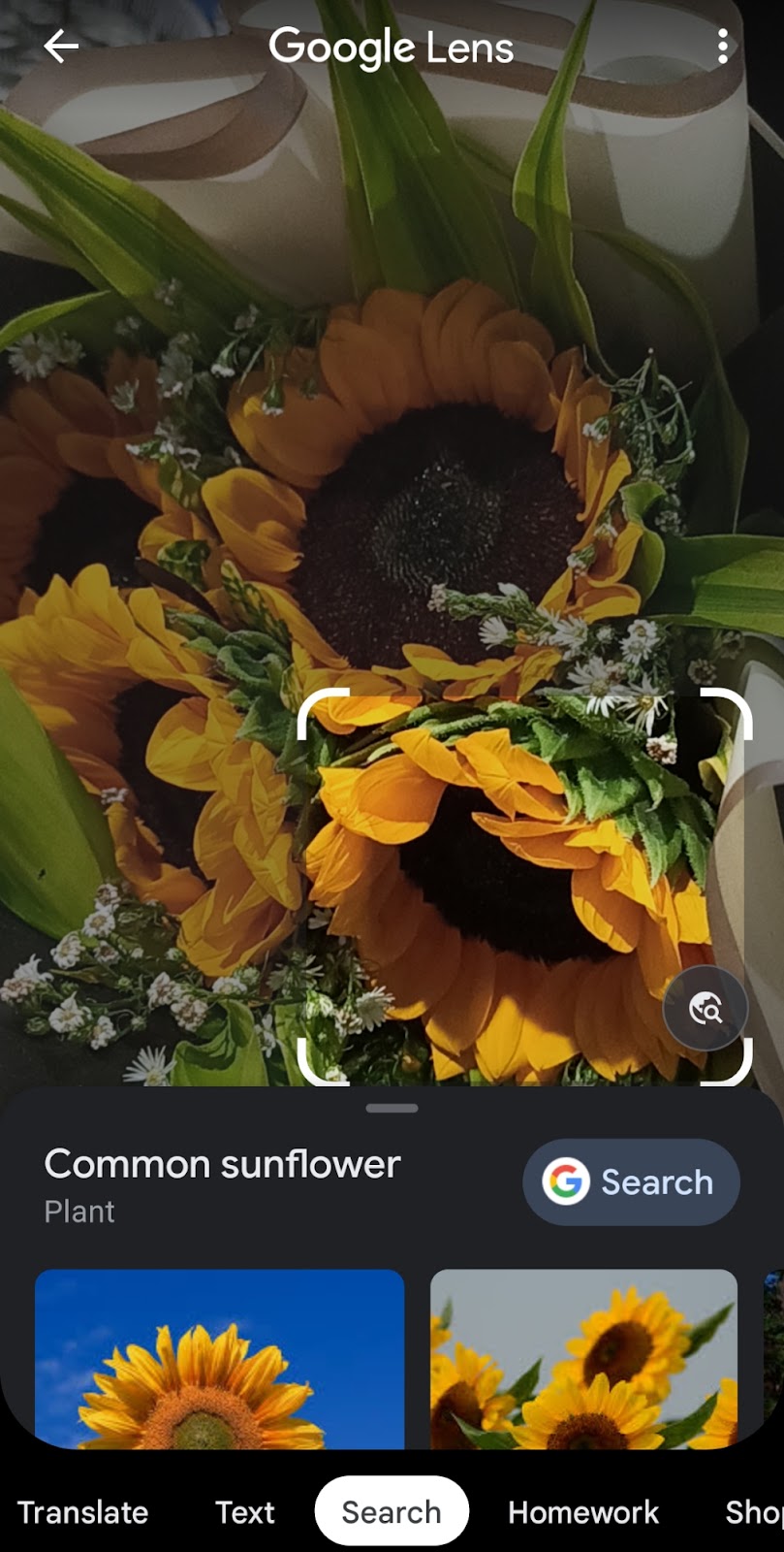 Reverse Video Search 6 Capturing a photo with Google Lens for reverse search