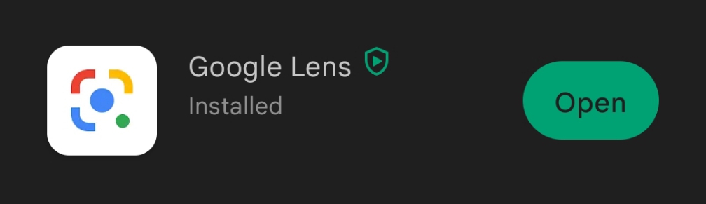 Reverse Video Search 5 Google Lens mobile app search interface