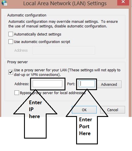 Enter IP and Port fields for proxy server configuration