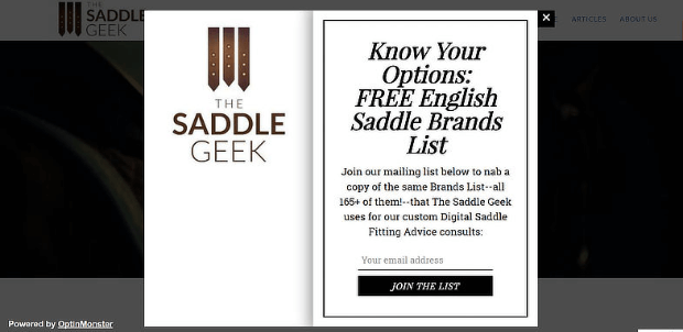 The Saddle Geek tweet promoting a lead magnet with link to landing page