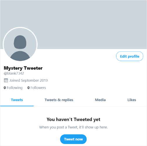 Mystery Twitter profile with default avatar and no bio, showing poor optimization