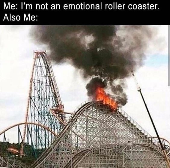 Drake Reaction Meme drake reaction meme emotional expressions relatable celebrity meme